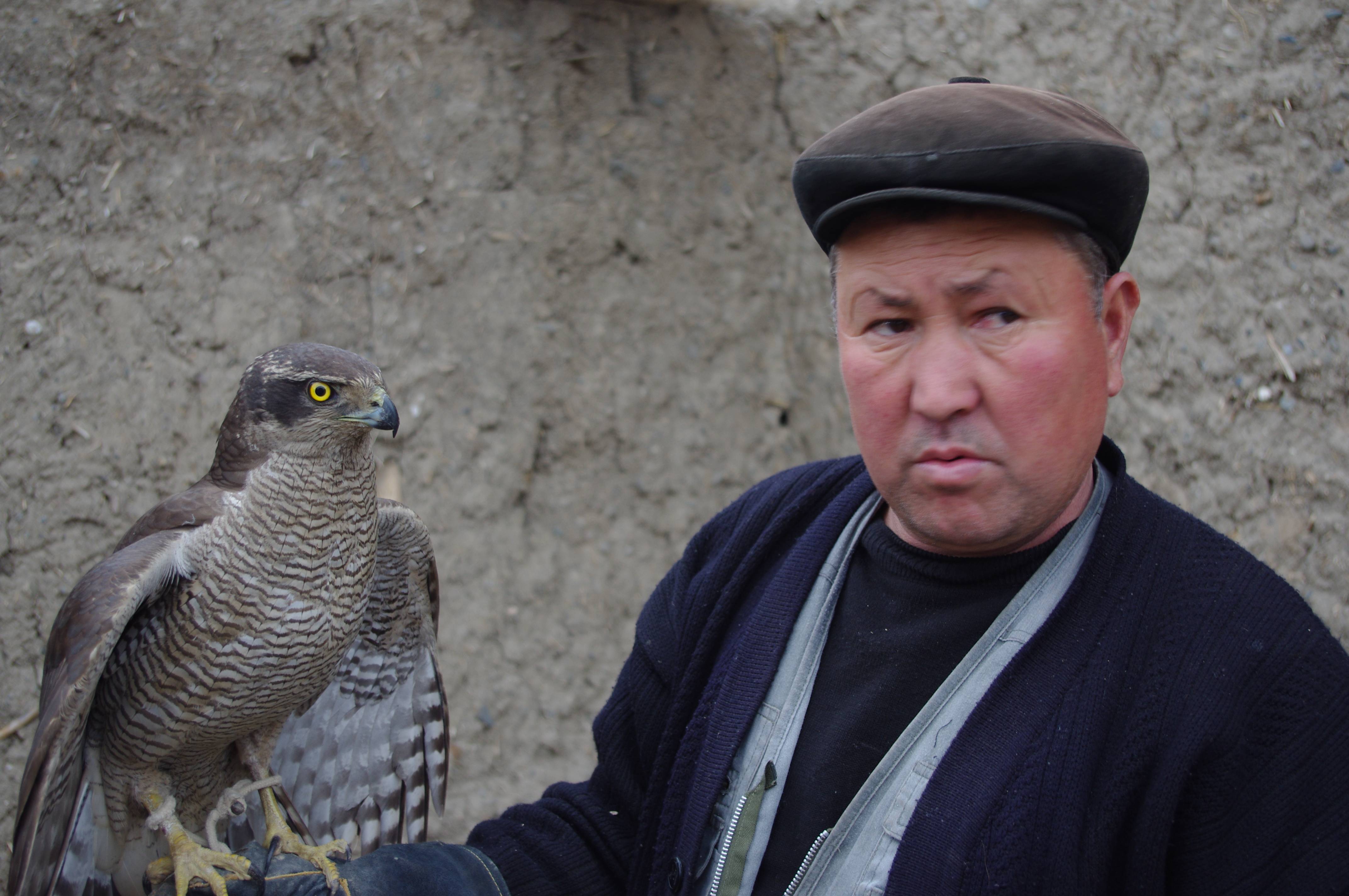 Central Asian Falconry Project