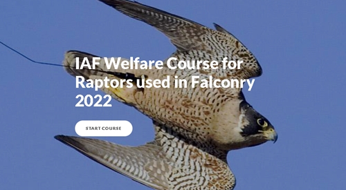 IAF Welfare Course for Raptors used in Falconry 2022