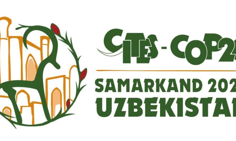 CITES CoP: Proposal to Downlist the Peregrine Falcon Not Adopted