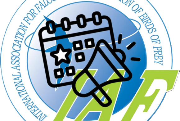 🗓️ Important Update: 2026 IAF AGM in China 🗓️