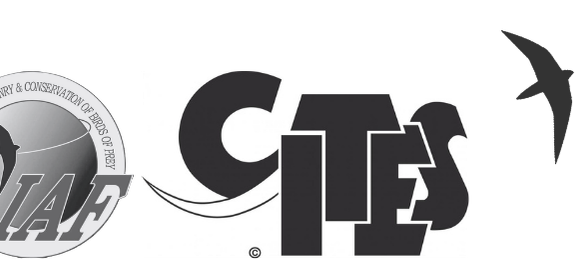 IAF Meeting on CITES Requirements for Exporting Appendix I Raptors