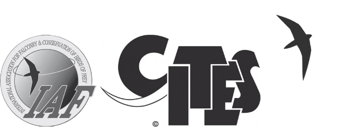 IAF Meeting on CITES Requirements for Exporting Appendix I Raptors IAF Meeting on CITES Requirements for Exporting Appendix I Raptors