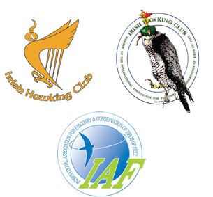 Registration now open: 2026 IAF AGM in Sneem, Ireland Registration now open: 2026 IAF AGM in Sneem, Ireland